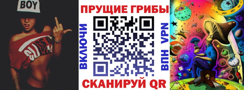 Псилоцибиновые грибы GOLDEN TEACHER  Купить где  Дальнегорск 